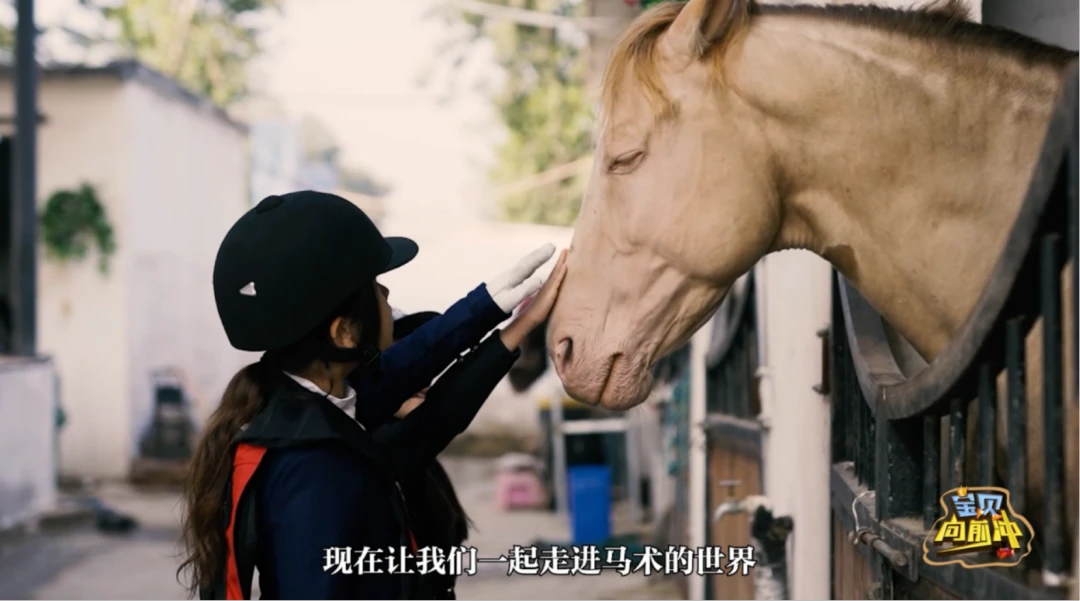 篮球训练营中试训的表现评估方法_2