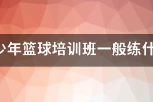青少年篮球教学训练指导手册内容摘要